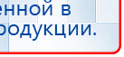 Пояс электрод для аппаратов Скэнар купить в Озёрах, Выносные электроды купить в Озёрах, Скэнар официальный сайт - denasvertebra.ru